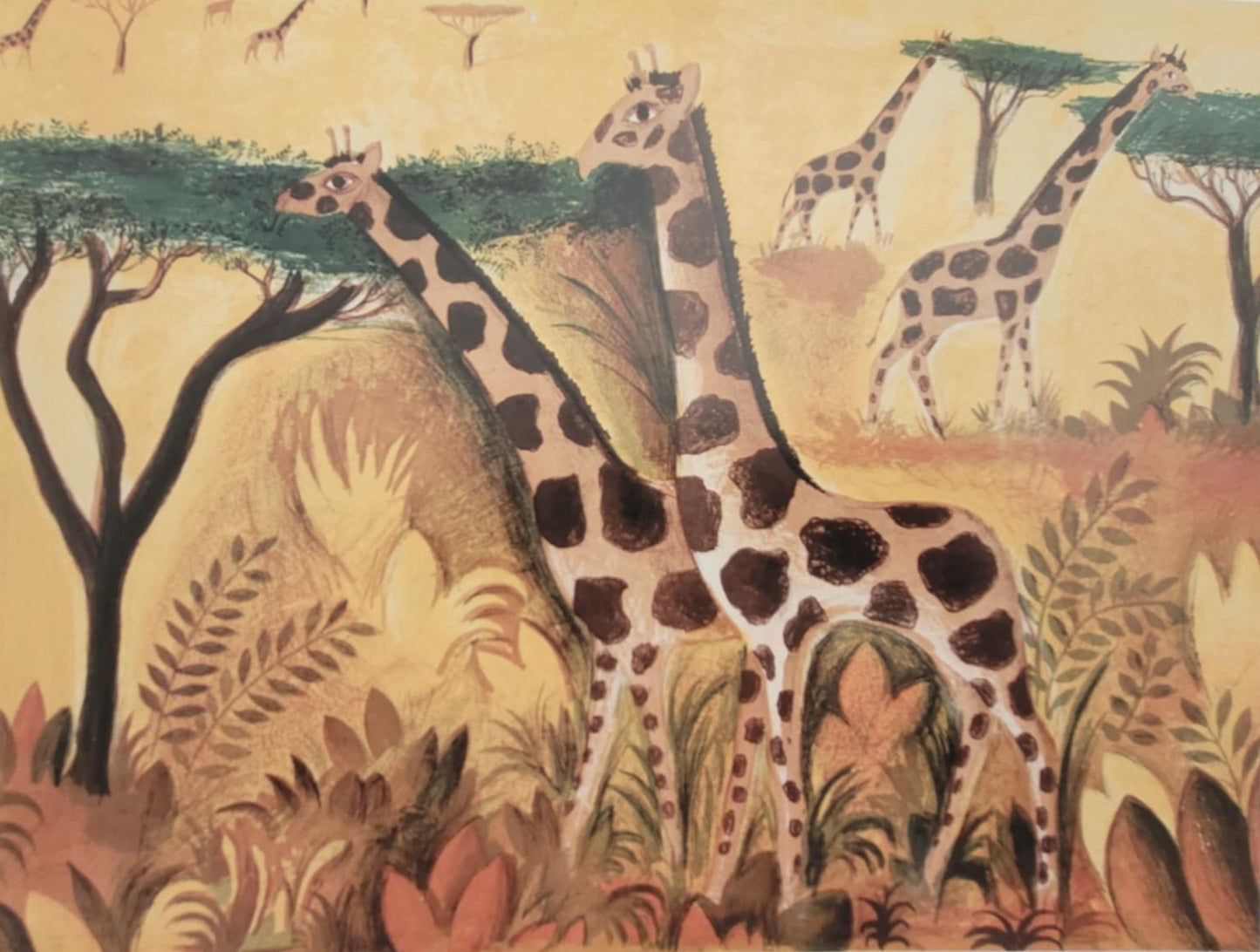 2 flotte indrammede offset tryk af Hans Scherfig - Badende Elefanter 1975 og 7 Giraffer 1964