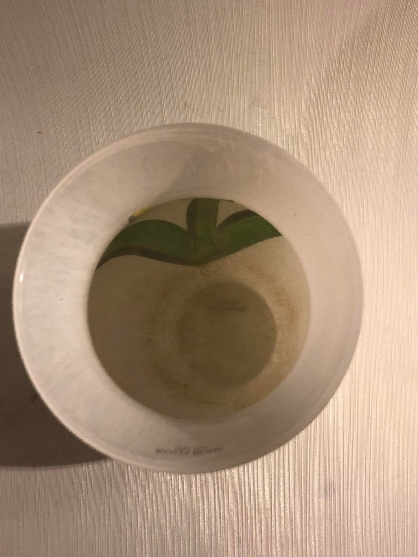 Kunstglas fra KOSTA BODA design af ULRICA HYDMAN-VALLIEN - nr. 01051